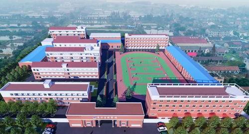 爆料益阳学校视频是真的吗,真相究竟如何？