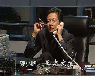 王志文哥哥爆料视频播放,揭秘娱乐圈不为人知的一面  第2张